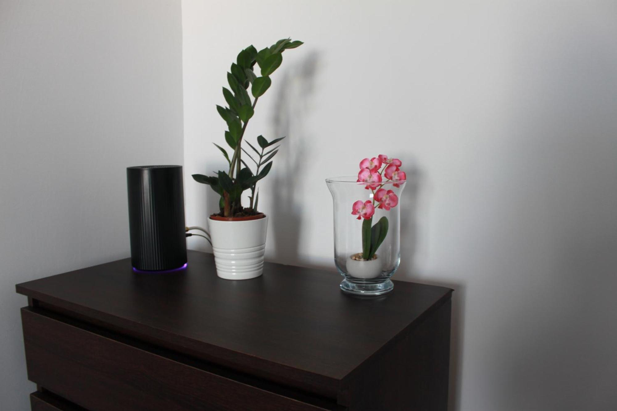 Kalwaria Piekary Apartment *
